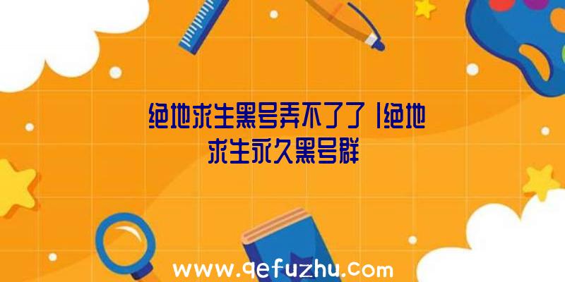 「绝地求生黑号弄不了了」|绝地求生永久黑号群